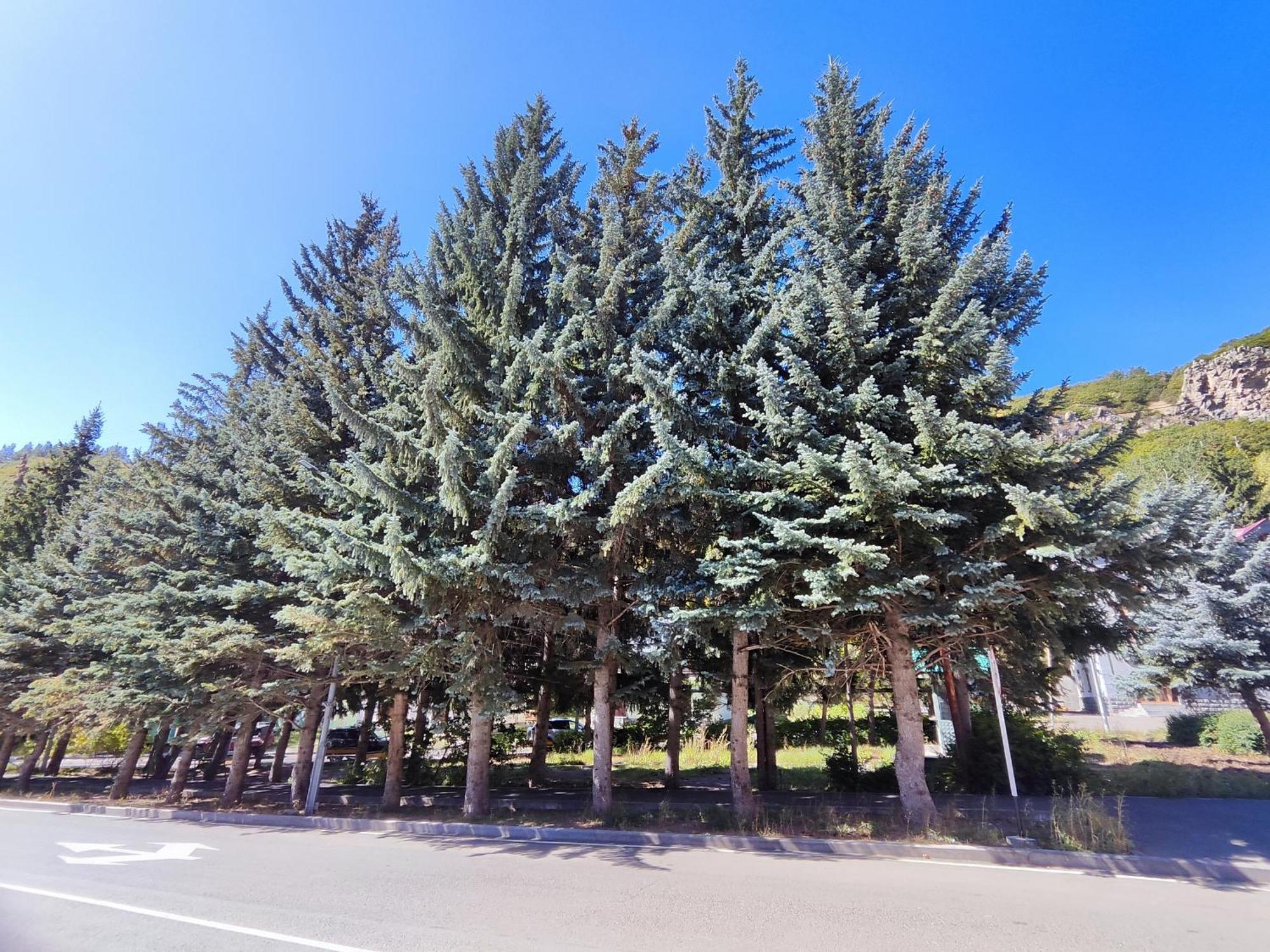 Jermuk Mini Apartment Екстериор снимка
